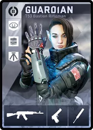 GUARDIAN / T53 loadout card