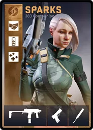 SPARKS / 383 loadout card