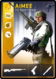 AIMEE / G71 loadout card