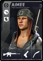 AIMEE / P55 loadout card