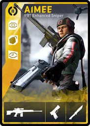 AIMEE / P81 loadout card
