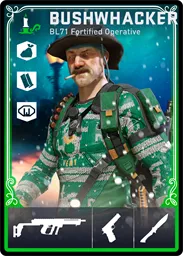 BUSHWHACKER / BL71 loadout card