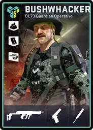 BUSHWHACKER / BL73 loadout card