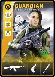 GUARDIAN / T53 loadout card