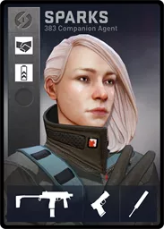 SPARKS / 383 loadout card